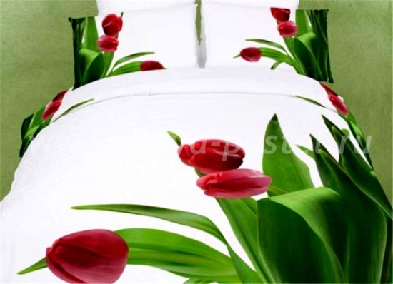 Постельное белье евро стандарта сатин 2 наволочки (три тюльпана) в интернет-магазине Моя постель
