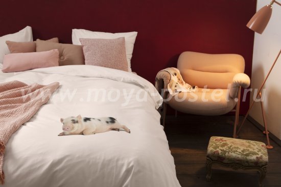 Розовое постельное белье "Поросенок", евро размер в интернет-магазине Моя постель