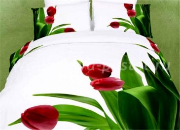 Двуспальное постельное белье сатин 50*70 (три тюльпана) в интернет-магазине Моя постель