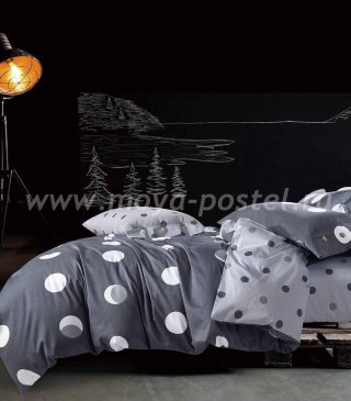 Кпб Египетский хлопок TIS04-145 полуторный в интернет-магазине Моя постель