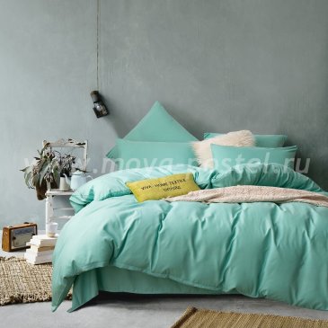 Комплект постельного белья однотонный Сатин CS025 в интернет-магазине Моя постель