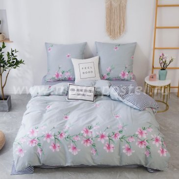 Комплект постельного белья Сатин C358 в интернет-магазине Моя постель