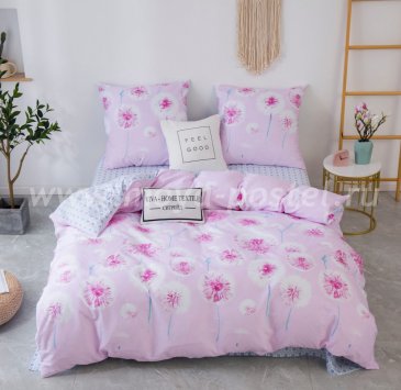 Комплект постельного белья Сатин C367 в интернет-магазине Моя постель