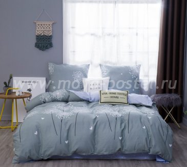 Комплект постельного белья Сатин C369 в интернет-магазине Моя постель