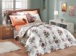 Коричнево-персиковое постельное белье с двусторонним стеганым покрывалом «DELFINA-CARMEN», двуспальное в интернет-магазине Моя постель