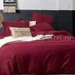 Постельное белье CS022 (двуспальное, 50*70) в интернет-магазине Моя постель - Фото 4