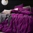 Фиолетовое постельное белье CS027 (полуторное 70*70) в интернет-магазине Моя постель - Фото 2