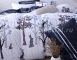 Постельное белье Модное CL020 (двуспальное, 70*70) в интернет-магазине Моя постель - Фото 5