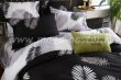 Постельное белье Модное CL025 (двуспальное 70*70) в интернет-магазине Моя постель - Фото 3