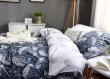 Комплект постельного белья Сатин C303 (полуторный 70*70) в интернет-магазине Моя постель - Фото 3