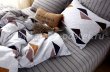 Комплект постельного белья Люкс-Сатин A076 (двуспальный, 70*70) в интернет-магазине Моя постель - Фото 4