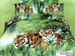 Кпб сатин евро 4 наволочки (тигры в оазисе) в интернет-магазине Моя постель