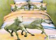 Кпб сатин Евро 2 наволочки (лошади на побережье) в интернет-магазине Моя постель