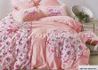 Двуспальное постельное белье TS02-501-70 сатин в интернет-магазине Моя постель