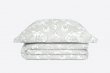 Комплект постельного белья DecoFlux Сатин Евро Victoria Ivory в интернет-магазине Моя постель - Фото 3