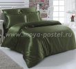 Постельное белье шелк "KARNA" ARIN (Евро) 50x70*2 70x70*2 (зеленое) в интернет-магазине Моя постель