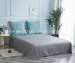 Комплект постельного белья Сатин C351 в интернет-магазине Моя постель - Фото 4