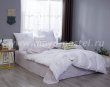 Комплект постельного белья Сатин C372 в интернет-магазине Моя постель - Фото 2